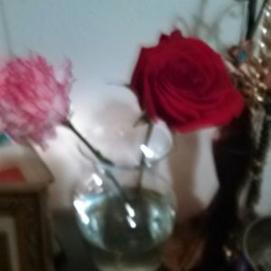 Meet your Posher, Cassie